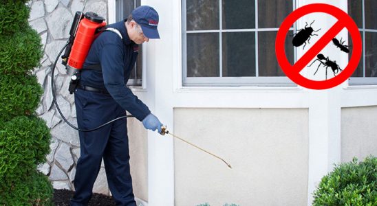 Hassa Dezenfeksiyon böcek ilaçlama ve haşere kontrolü — ilaclama-tr.com